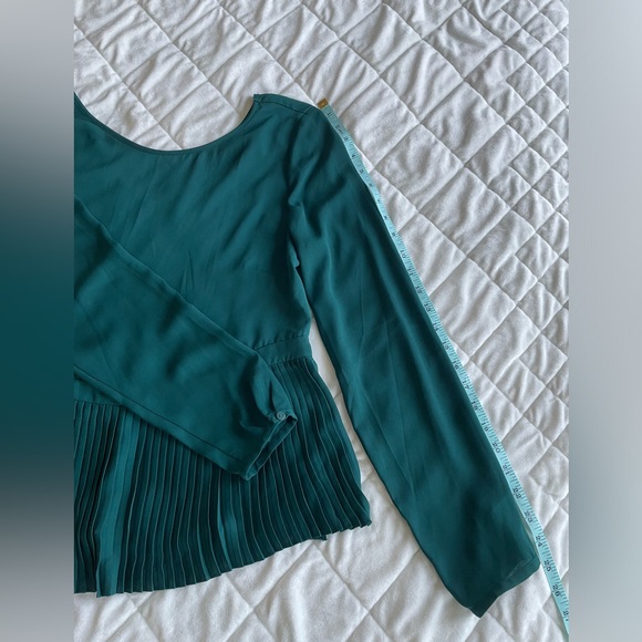 The Limited Long Sleeve Pleated Blouse - Picture 6 of 10